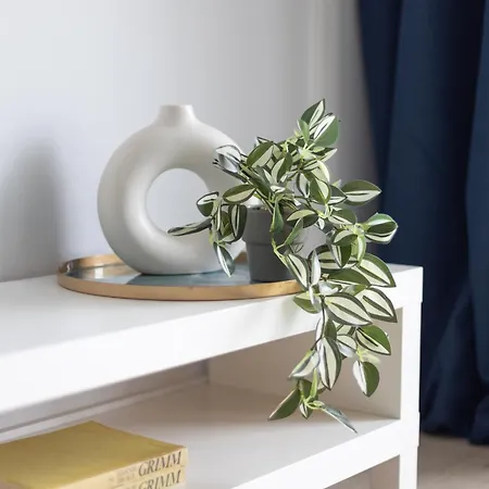 Mia Habicha - Cozy Near Factory Ursus With Parking Warsaw